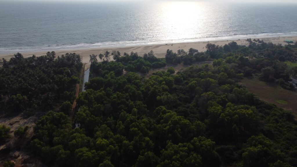 Hotel Approved Beach Property